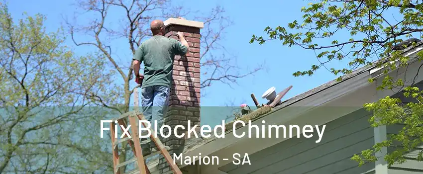 Fix Blocked Chimney Marion - SA
