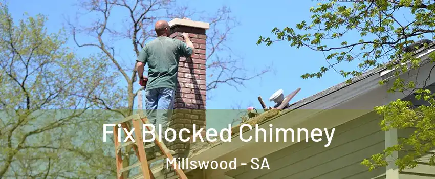 Fix Blocked Chimney Millswood - SA
