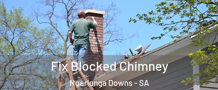 Fix Blocked Chimney Noarlunga Downs - SA