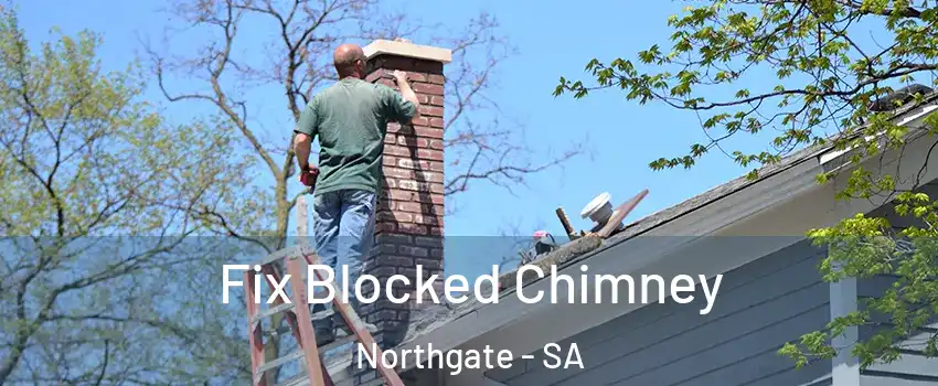 Fix Blocked Chimney Northgate - SA