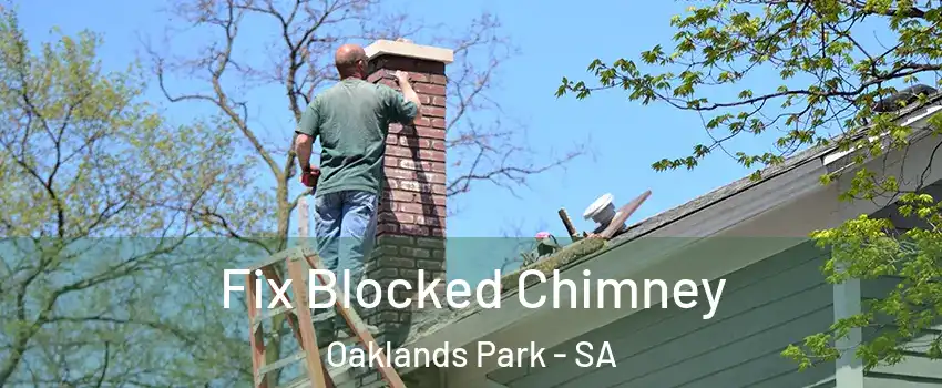 Fix Blocked Chimney Oaklands Park - SA