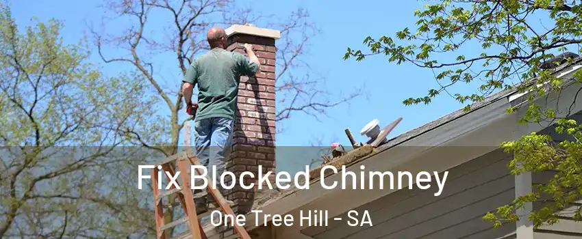 Fix Blocked Chimney One Tree Hill - SA