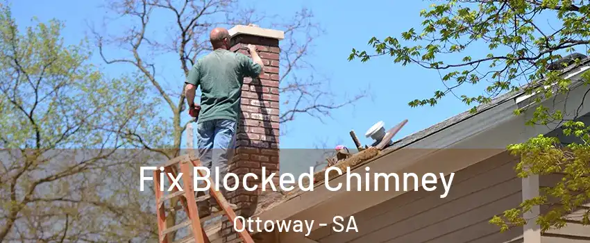 Fix Blocked Chimney Ottoway - SA