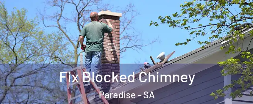 Fix Blocked Chimney Paradise - SA