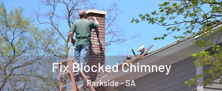 Fix Blocked Chimney Parkside - SA