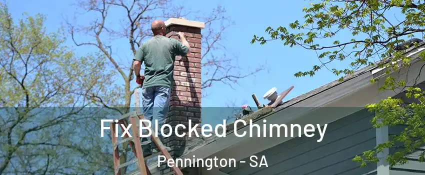 Fix Blocked Chimney Pennington - SA