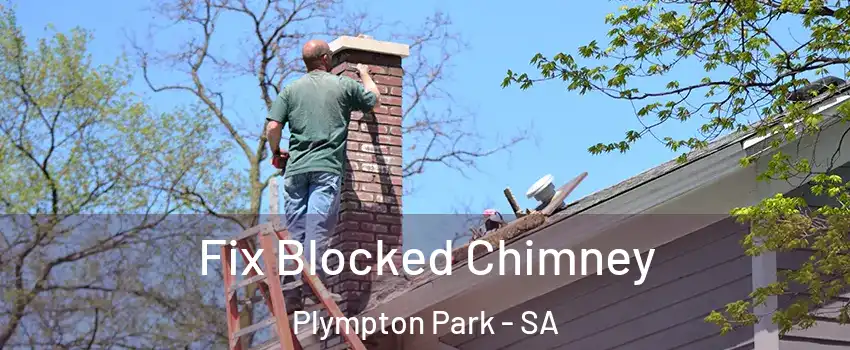  Fix Blocked Chimney Plympton Park - SA