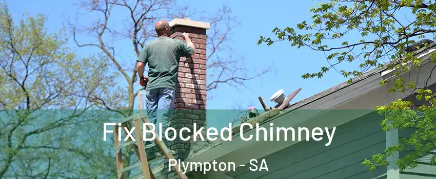 Fix Blocked Chimney Plympton - SA