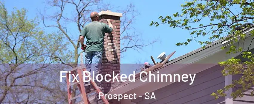 Fix Blocked Chimney Prospect - SA