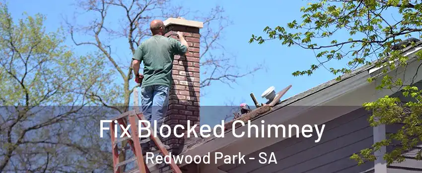 Fix Blocked Chimney Redwood Park - SA