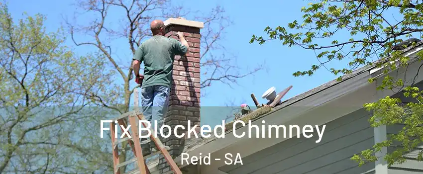 Fix Blocked Chimney Reid - SA