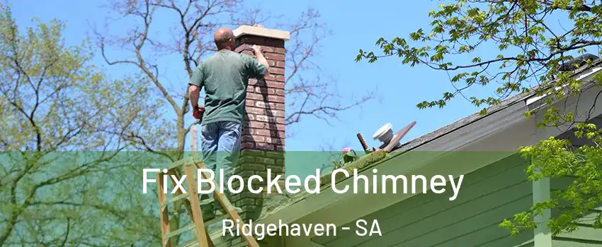 Fix Blocked Chimney Ridgehaven - SA