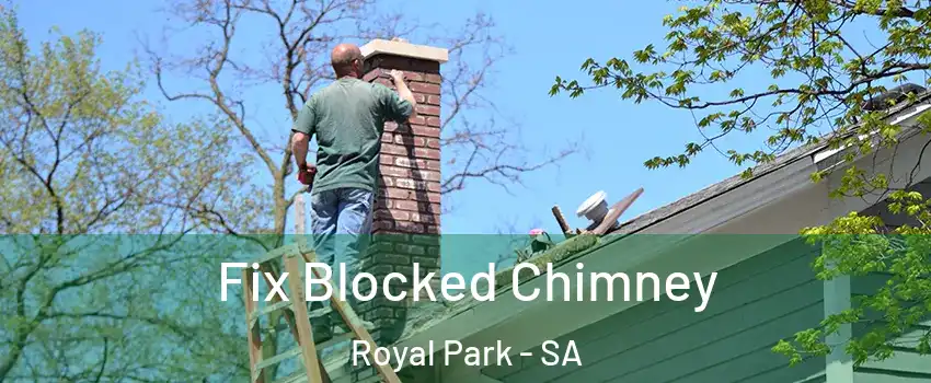 Fix Blocked Chimney Royal Park - SA