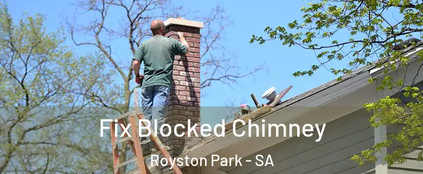 Fix Blocked Chimney Royston Park - SA