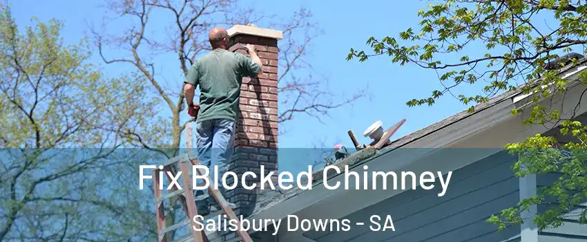 Fix Blocked Chimney Salisbury Downs - SA