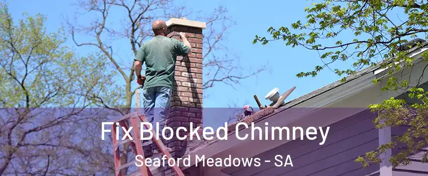 Fix Blocked Chimney Seaford Meadows - SA