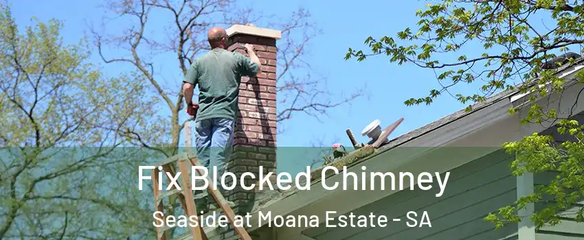 Fix Blocked Chimney Seaside at Moana Estate - SA