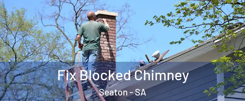 Fix Blocked Chimney Seaton - SA