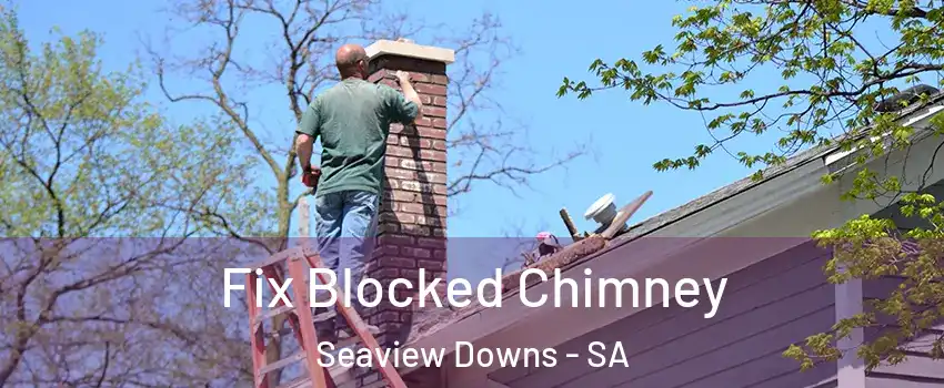 Fix Blocked Chimney Seaview Downs - SA