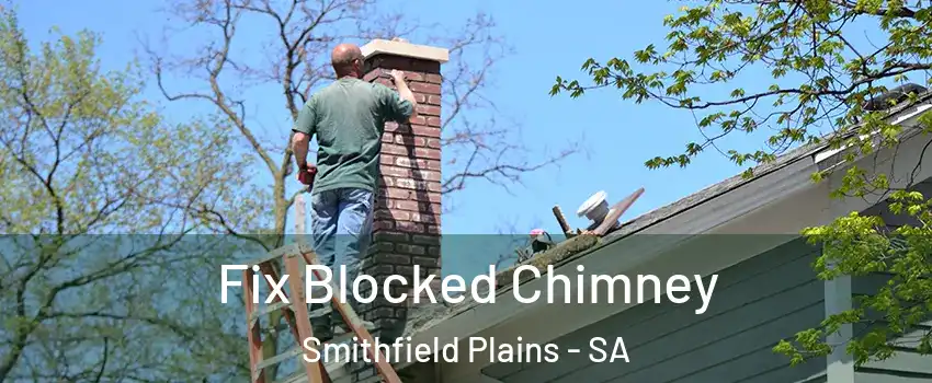 Fix Blocked Chimney Smithfield Plains - SA