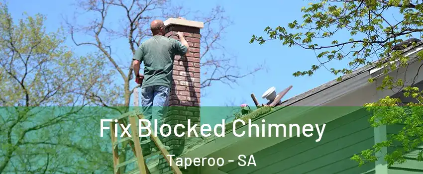  Fix Blocked Chimney Taperoo - SA