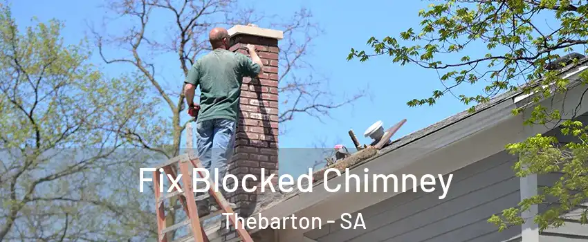 Fix Blocked Chimney Thebarton - SA