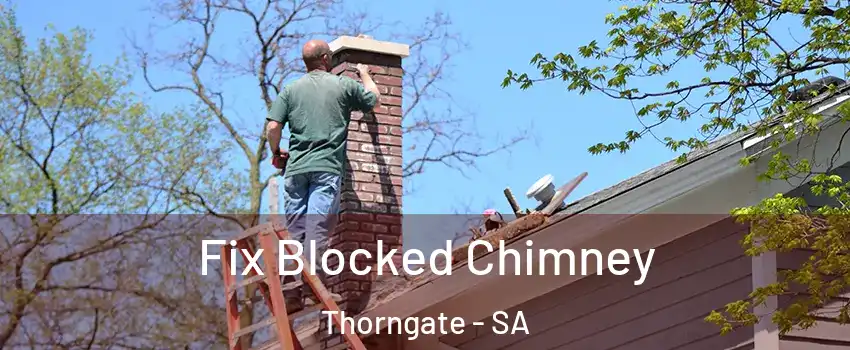 Fix Blocked Chimney Thorngate - SA