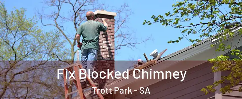 Fix Blocked Chimney Trott Park - SA