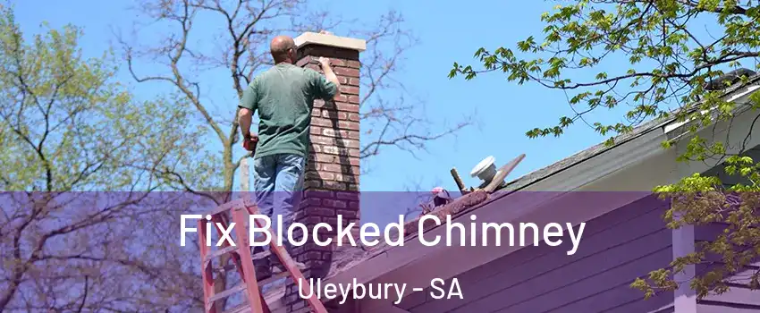 Fix Blocked Chimney Uleybury - SA