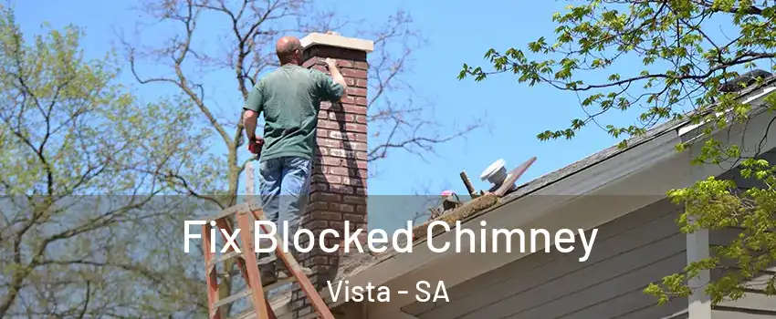 Fix Blocked Chimney Vista - SA