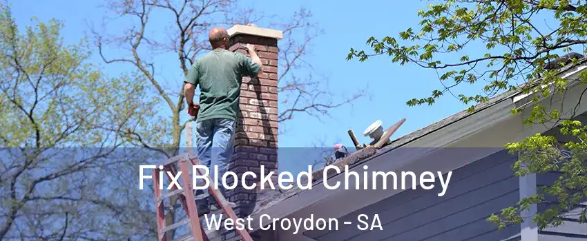 Fix Blocked Chimney West Croydon - SA