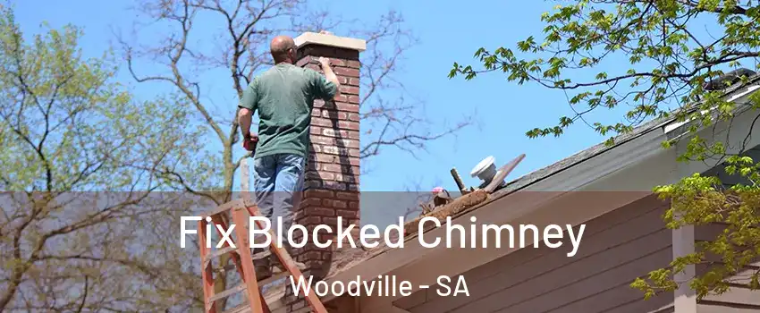 Fix Blocked Chimney Woodville - SA