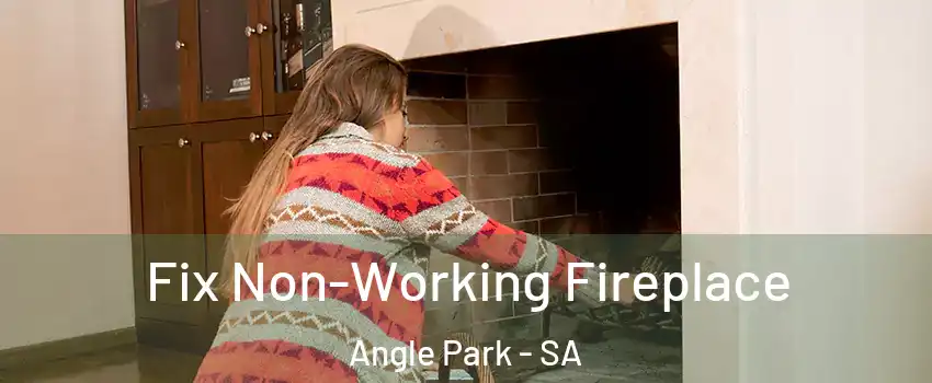  Fix Non-Working Fireplace Angle Park - SA