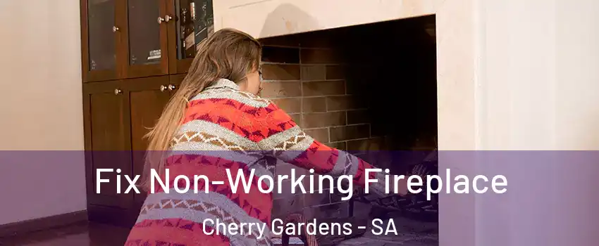 Fix Non-Working Fireplace Cherry Gardens - SA