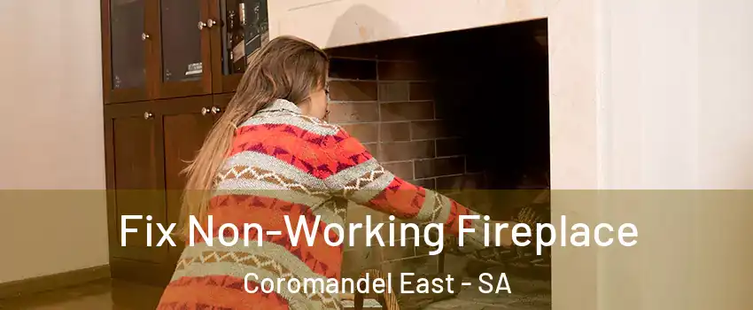 Fix Non-Working Fireplace Coromandel East - SA