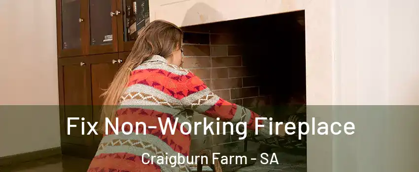  Fix Non-Working Fireplace Craigburn Farm - SA