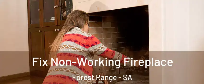 Fix Non-Working Fireplace Forest Range - SA