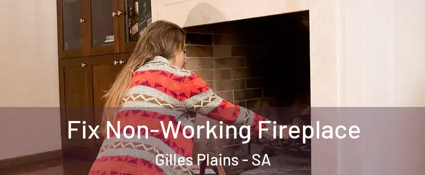 Fix Non-Working Fireplace Gilles Plains - SA