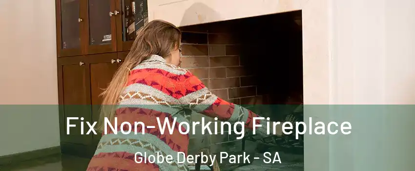  Fix Non-Working Fireplace Globe Derby Park - SA