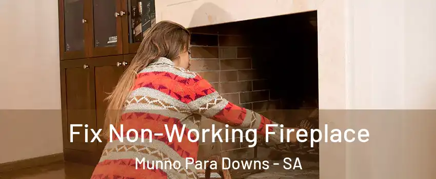 Fix Non-Working Fireplace Munno Para Downs - SA