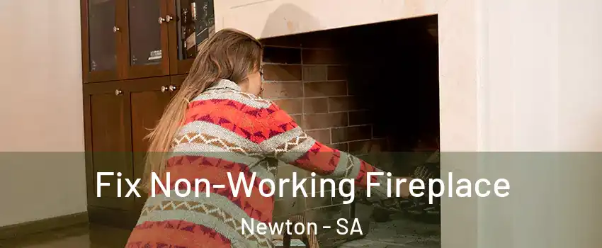  Fix Non-Working Fireplace Newton - SA