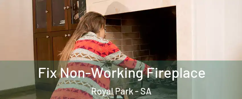 Fix Non-Working Fireplace Royal Park - SA