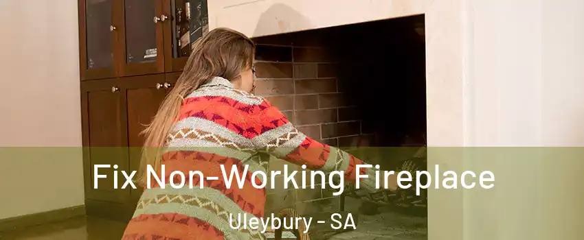 Fix Non-Working Fireplace Uleybury - SA