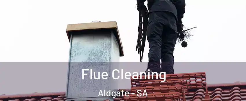 Flue Cleaning Aldgate - SA