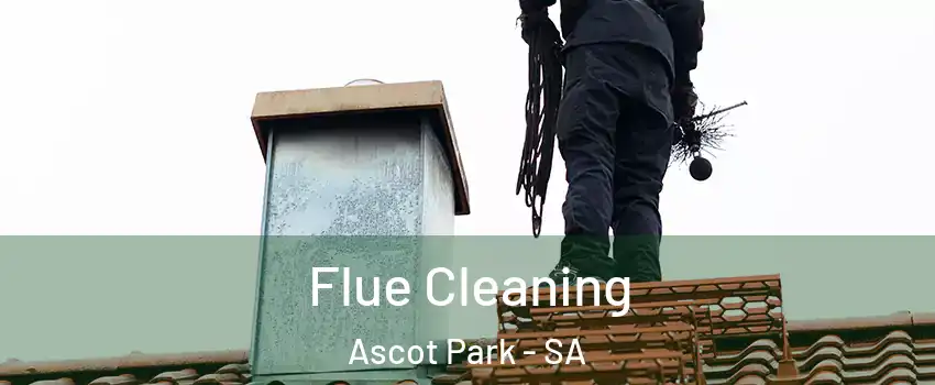 Flue Cleaning Ascot Park - SA