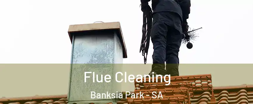 Flue Cleaning Banksia Park - SA