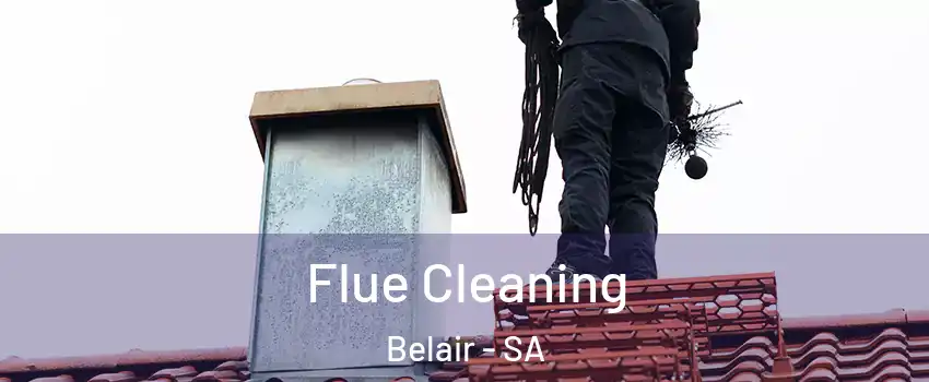 Flue Cleaning Belair - SA
