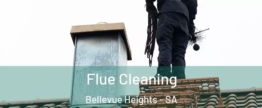  Flue Cleaning Bellevue Heights - SA