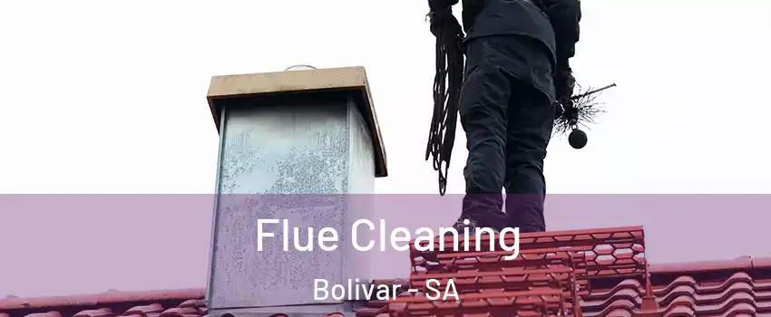 Flue Cleaning Bolivar - SA