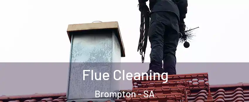 Flue Cleaning Brompton - SA